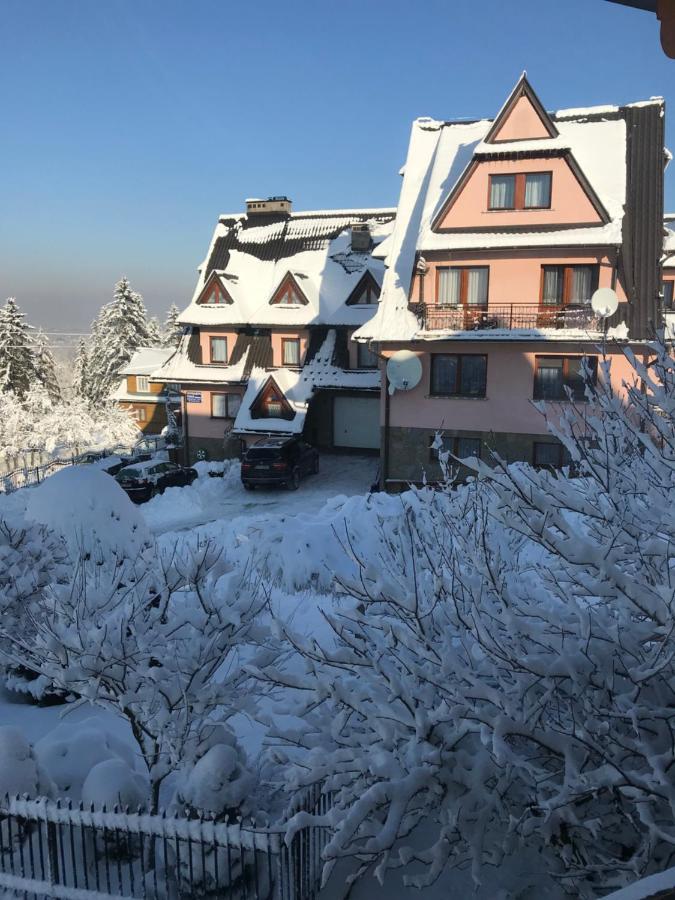 Bed and Breakfast Pokoje U Borzana Biały Dunajec Exterior foto